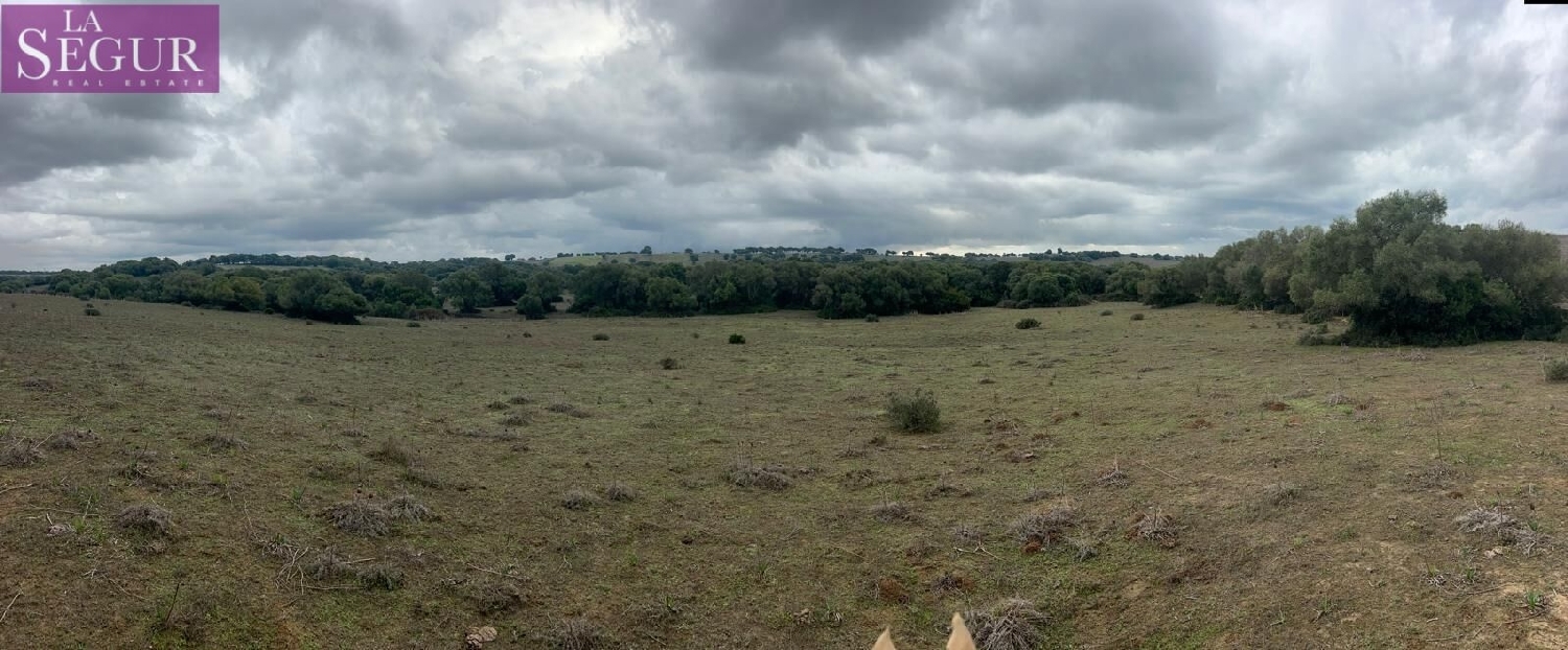  en venta terreno Vejer De La Frontera Janda (La) 1