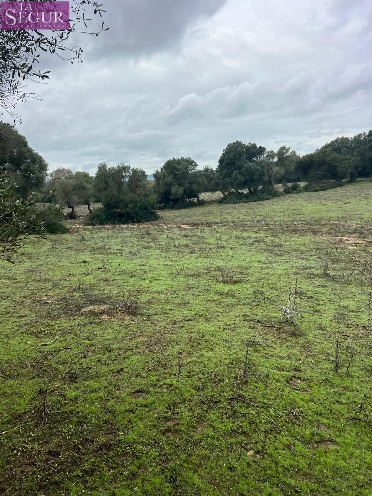  en venta terreno Vejer De La Frontera Janda (La) 5