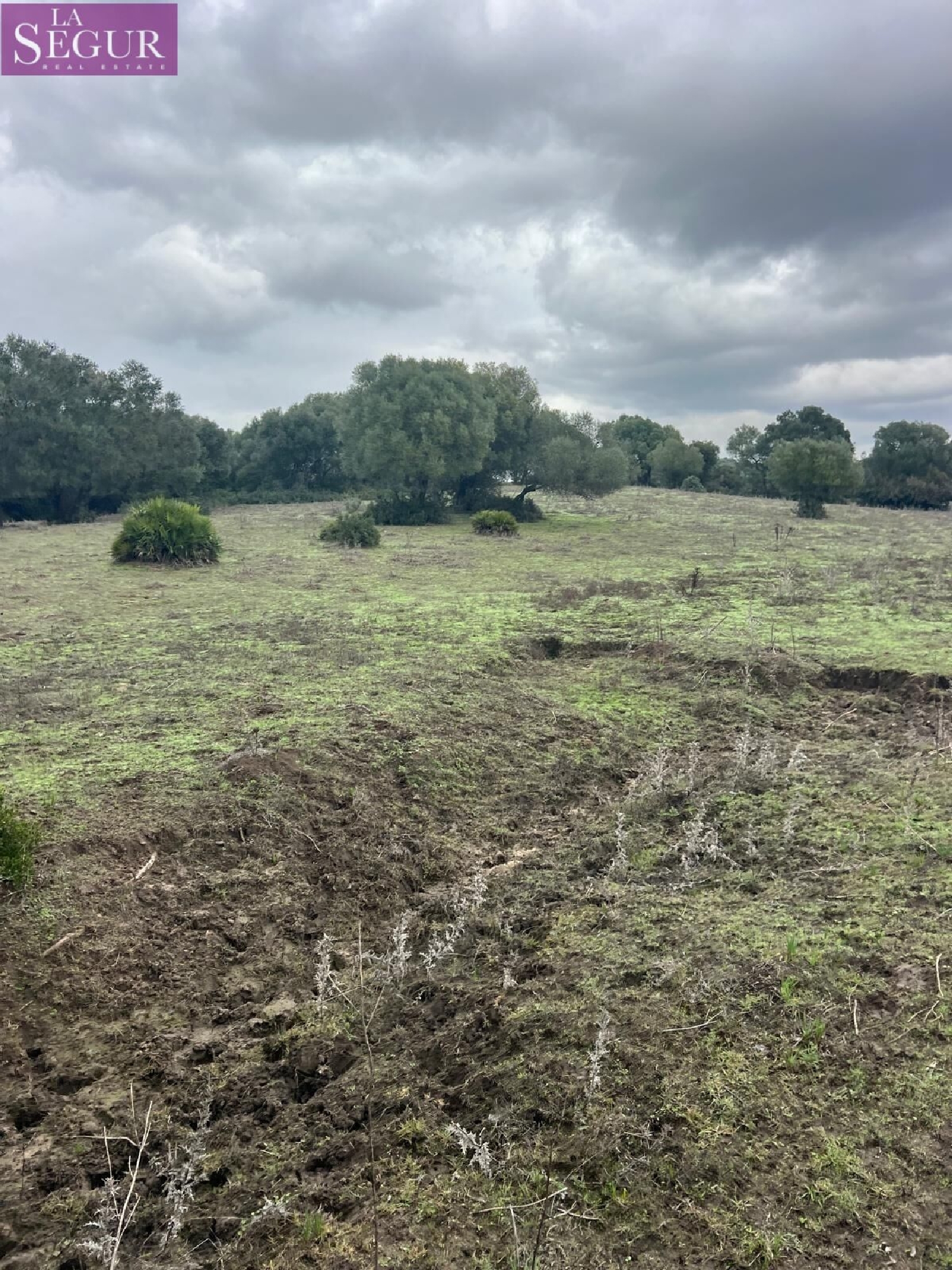  en venta terreno Vejer De La Frontera Janda (La) 8