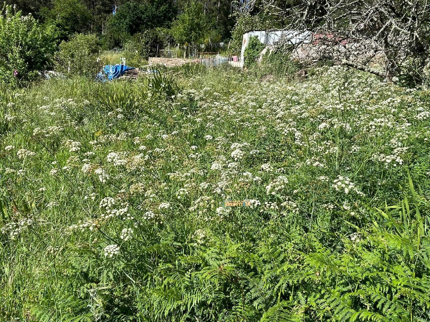  till salu tomt Vigobo Barcala 2