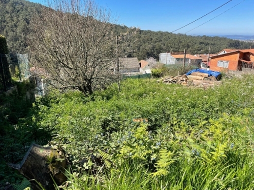 Vigobo Barcala tomt foto 6375341