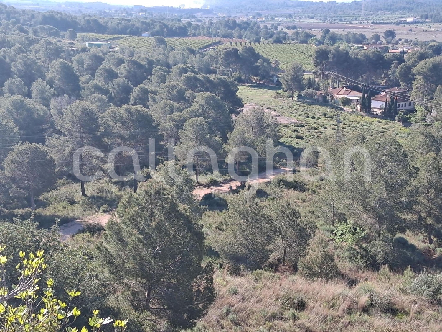  till salu tomt Vilamarxant Camp De Túria 7