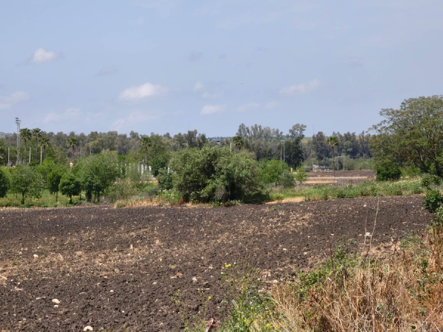  till salu tomt Villamartín Baix Segura 3