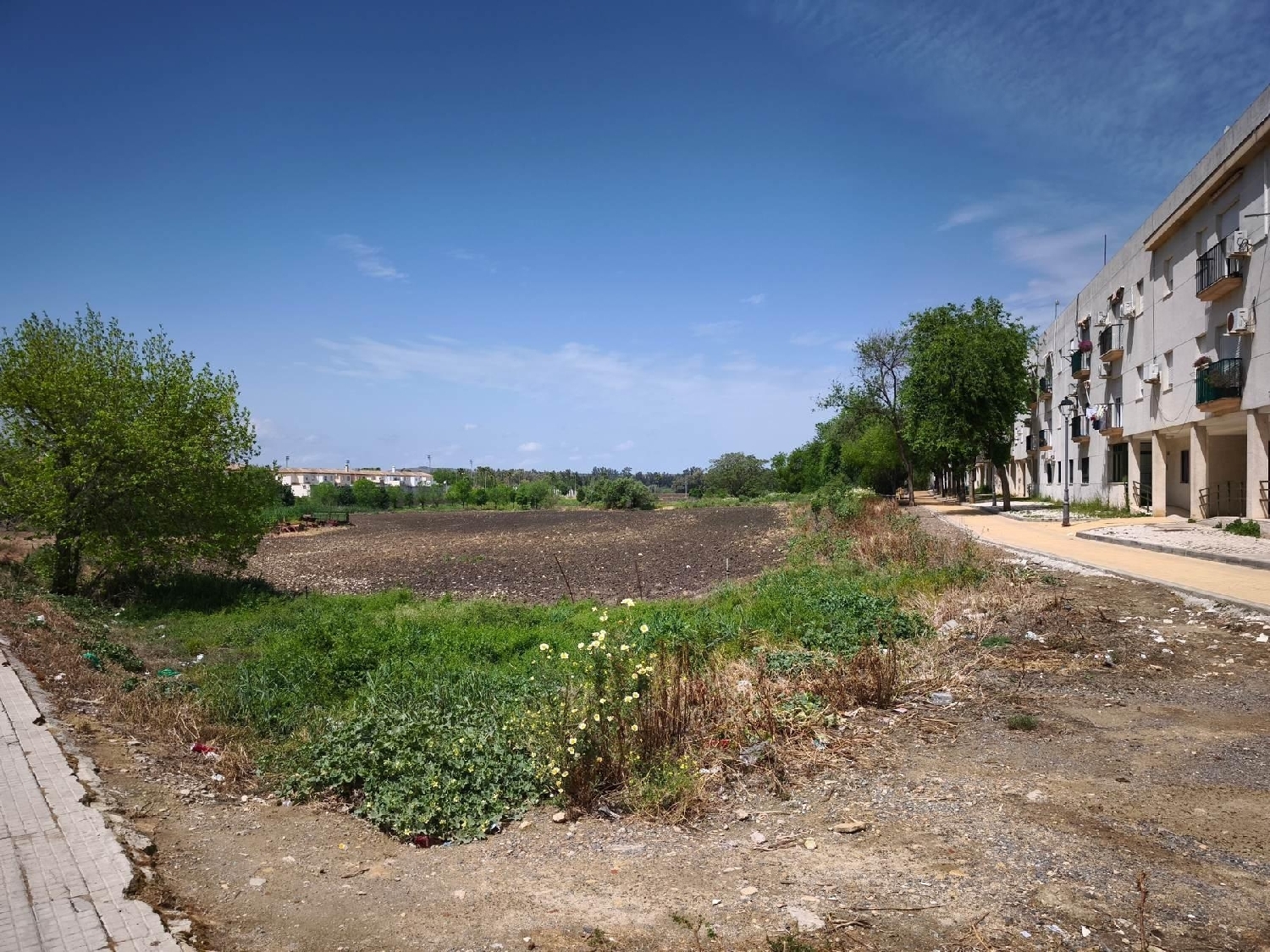  till salu tomt Villamartín Baix Segura 5