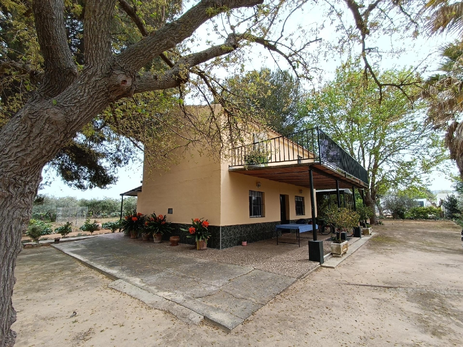  kaufen Grundstück Villamartín Baix Segura 3