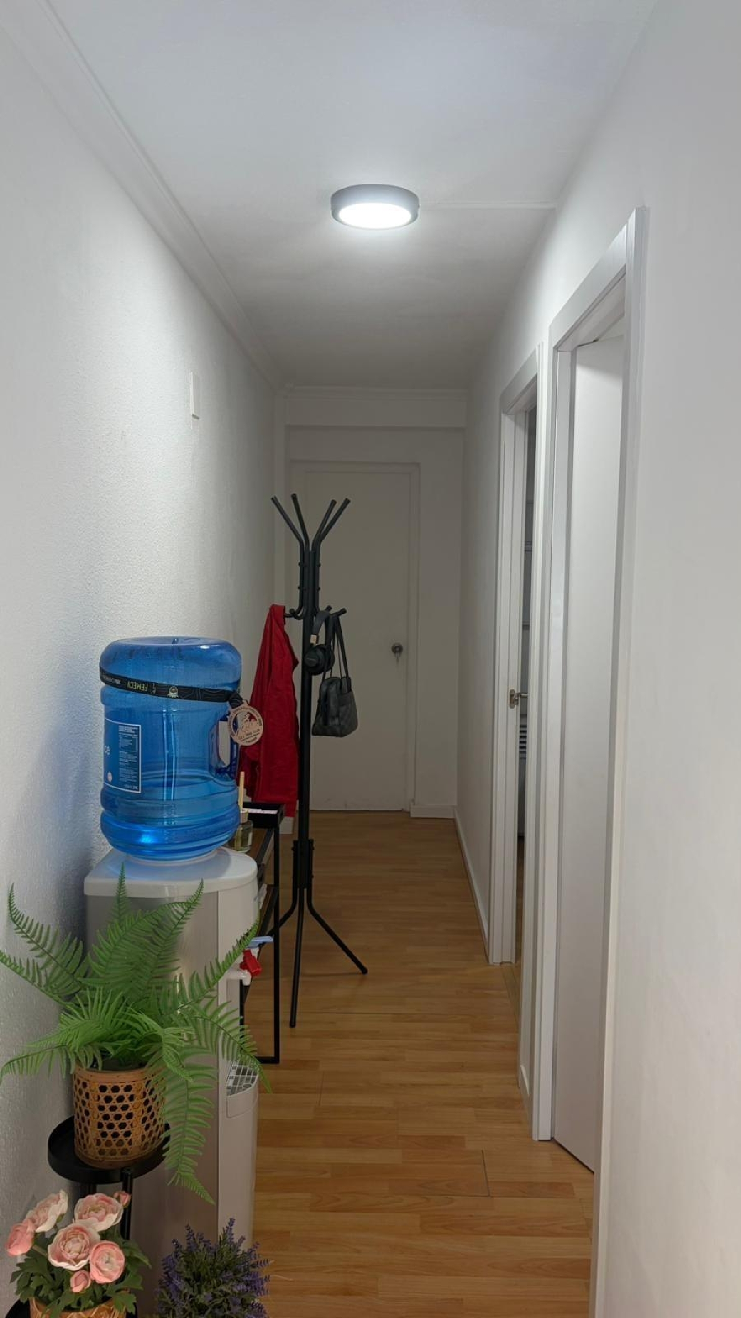  te koop bedrijfsruimte Alicante Centro 03001 Alacantí 5