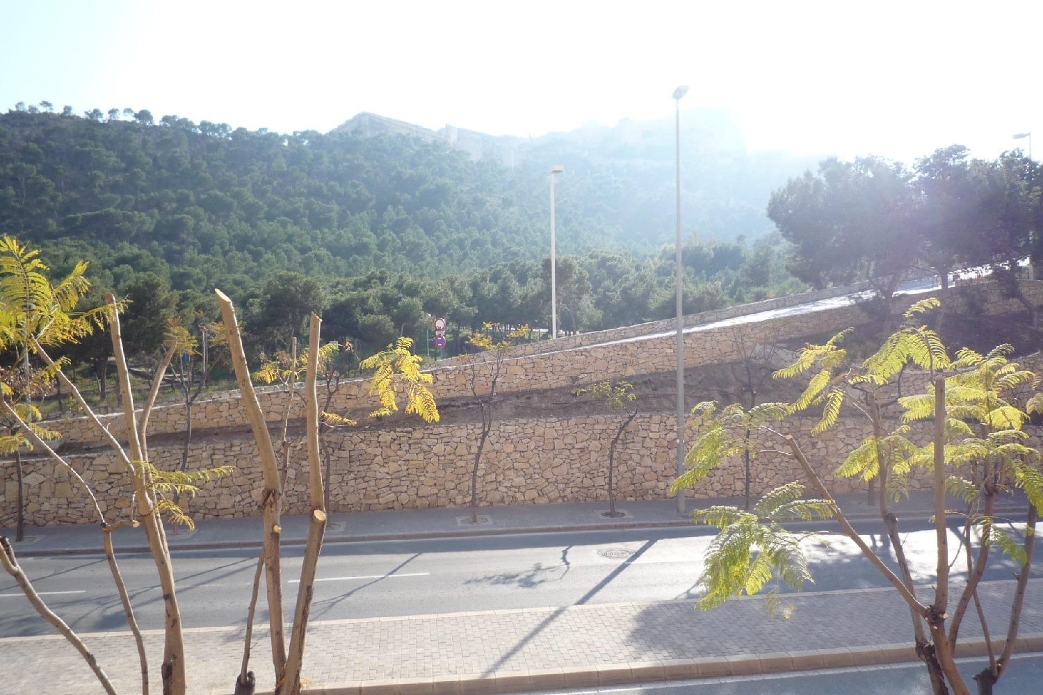  te koop bedrijfsruimte Alicante Centro 03001 Alacantí 3