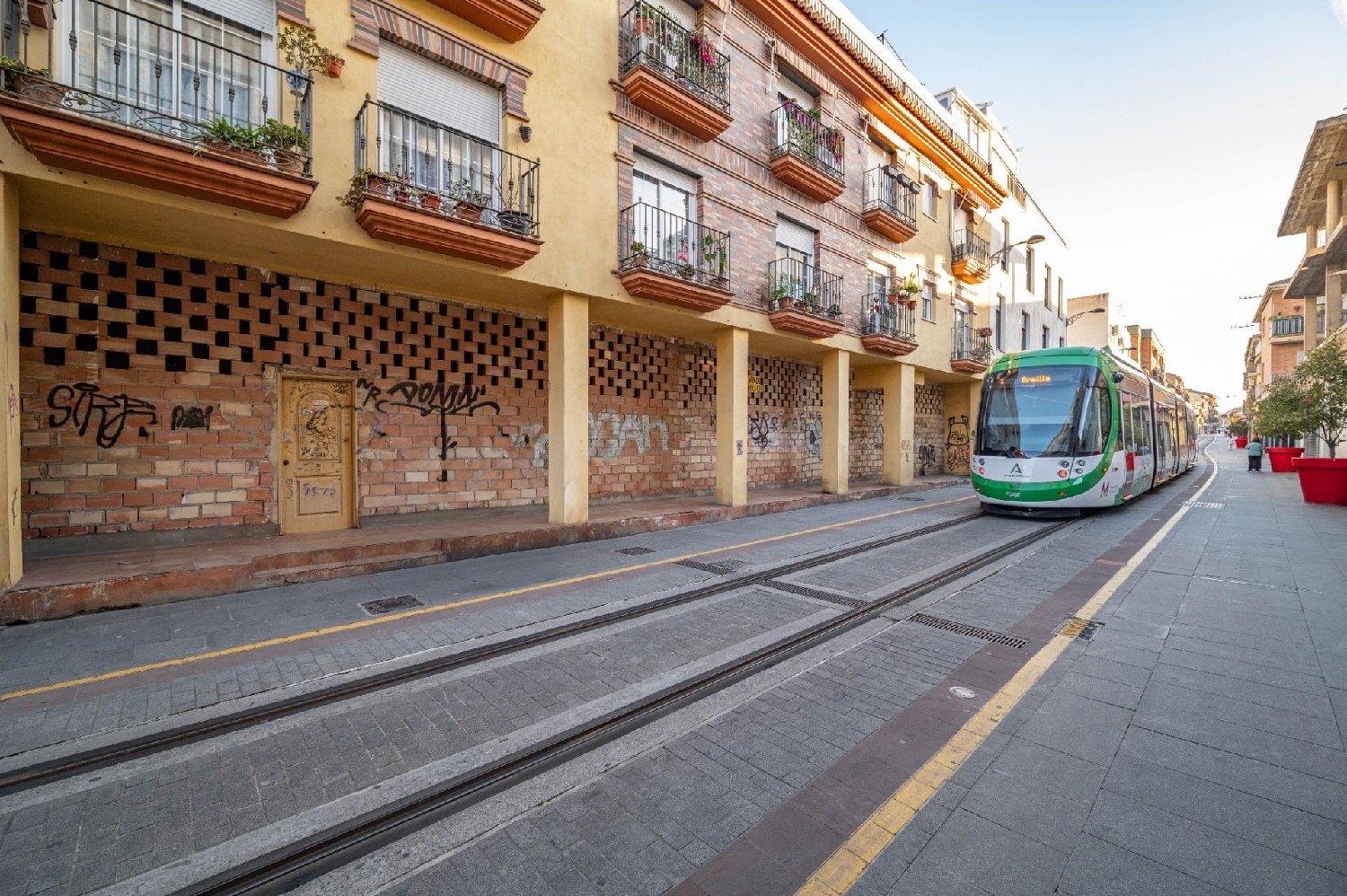  for sale commercial premise Armilla Vega De Granada 3