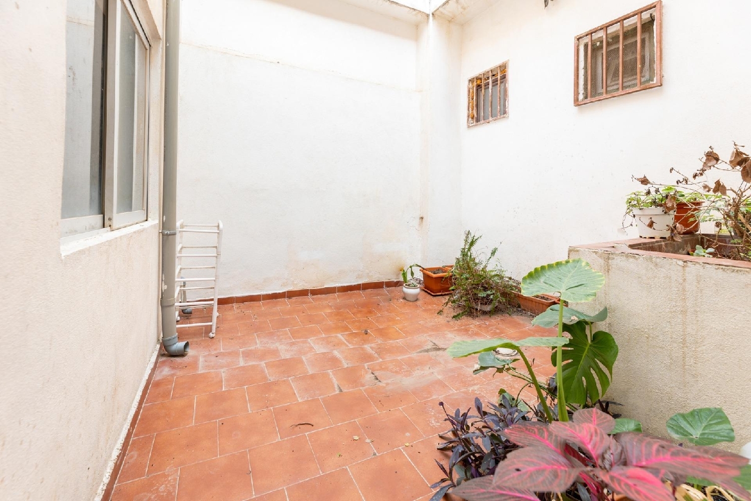 for sale commercial premise Armilla Vega De Granada 7