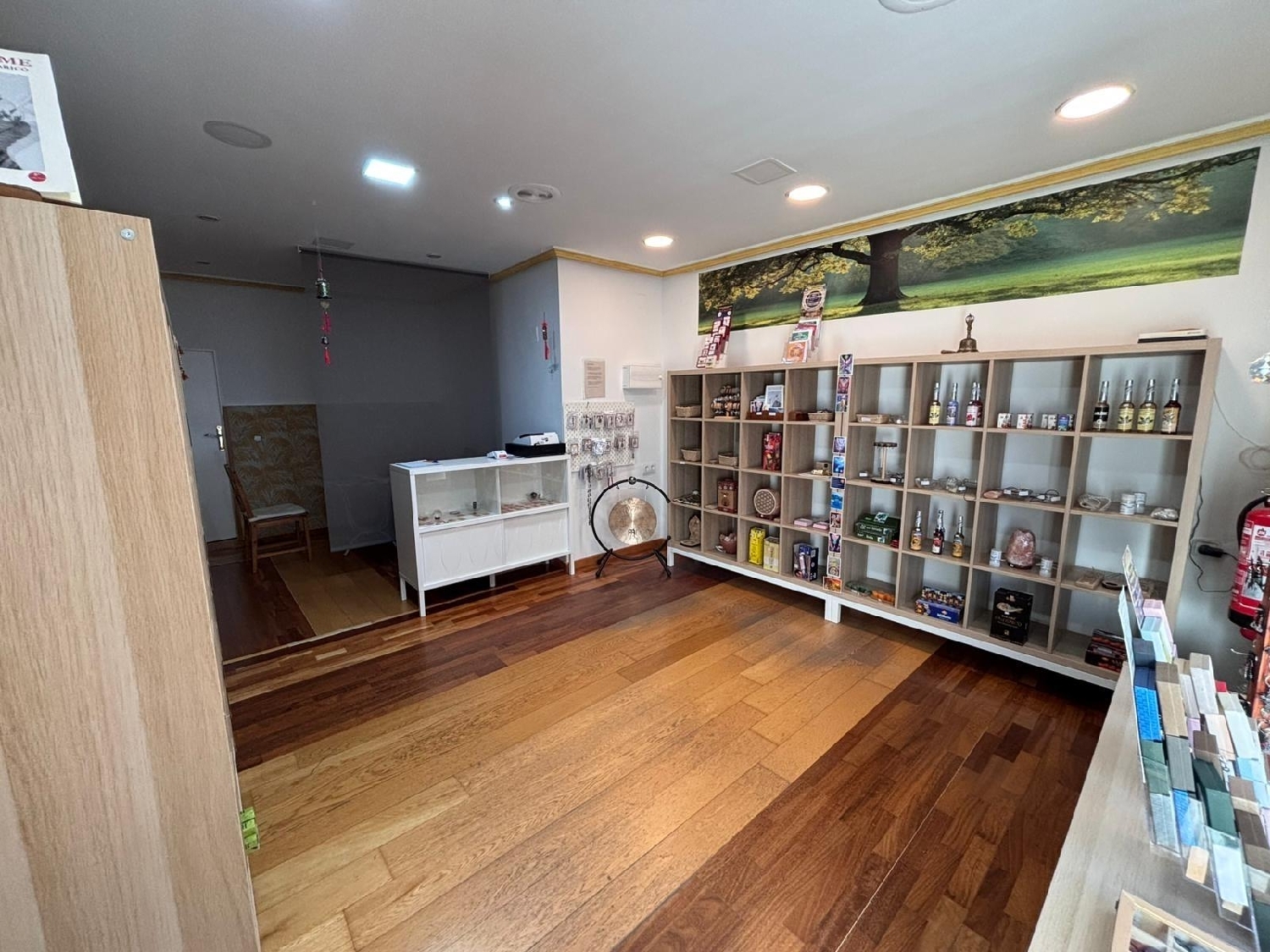  for sale commercial premise Molina De Segura Vega Media Del Segura 2