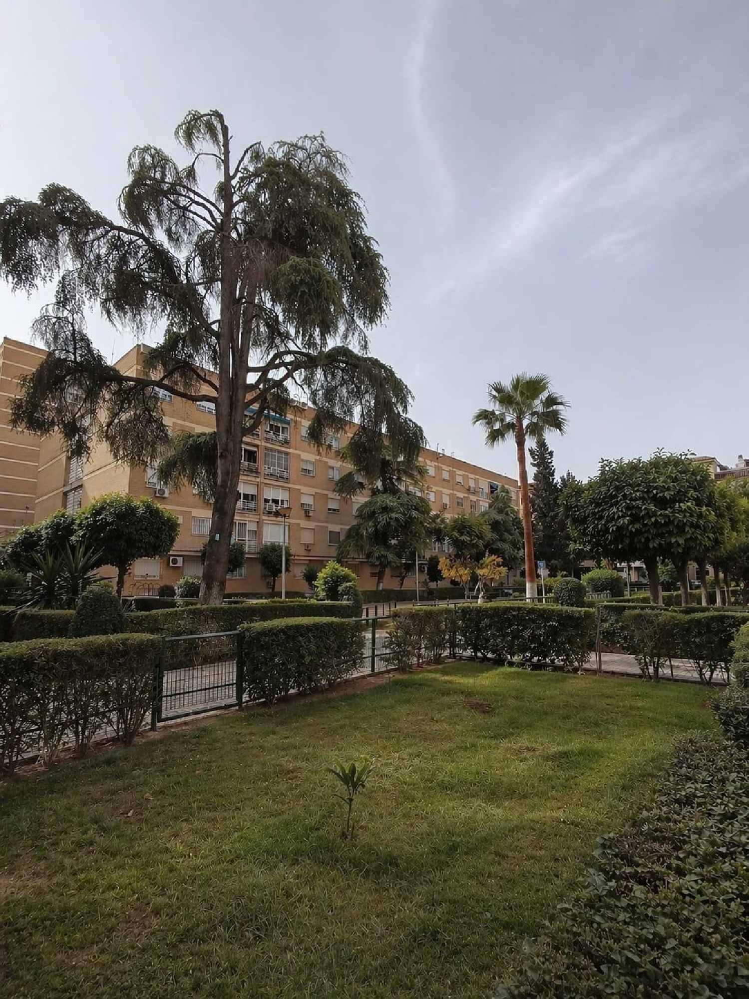  till salu lokal Sevilla La Nueva Sur 1