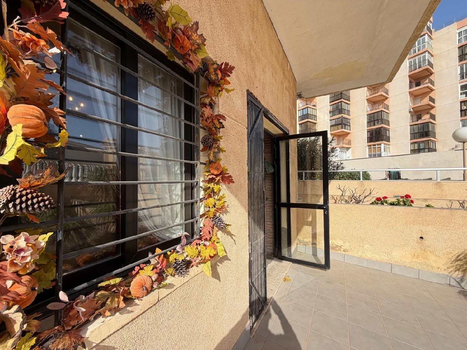  en venta local Torrevieja Baix Segura 8