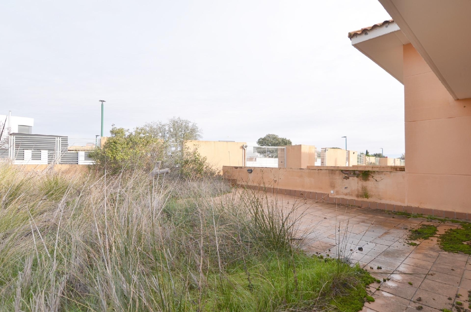  till salu parhus Carrascal De Barregas Campo De Salamanca 5