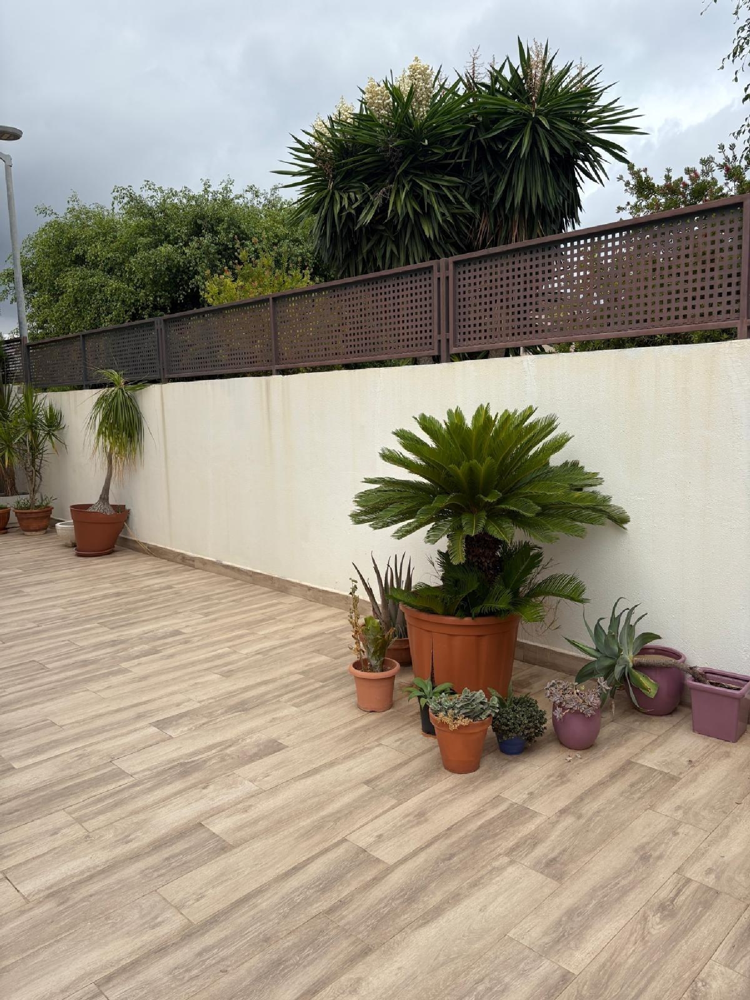  à vendre maison jumelée Gandía 46701 Safor 3