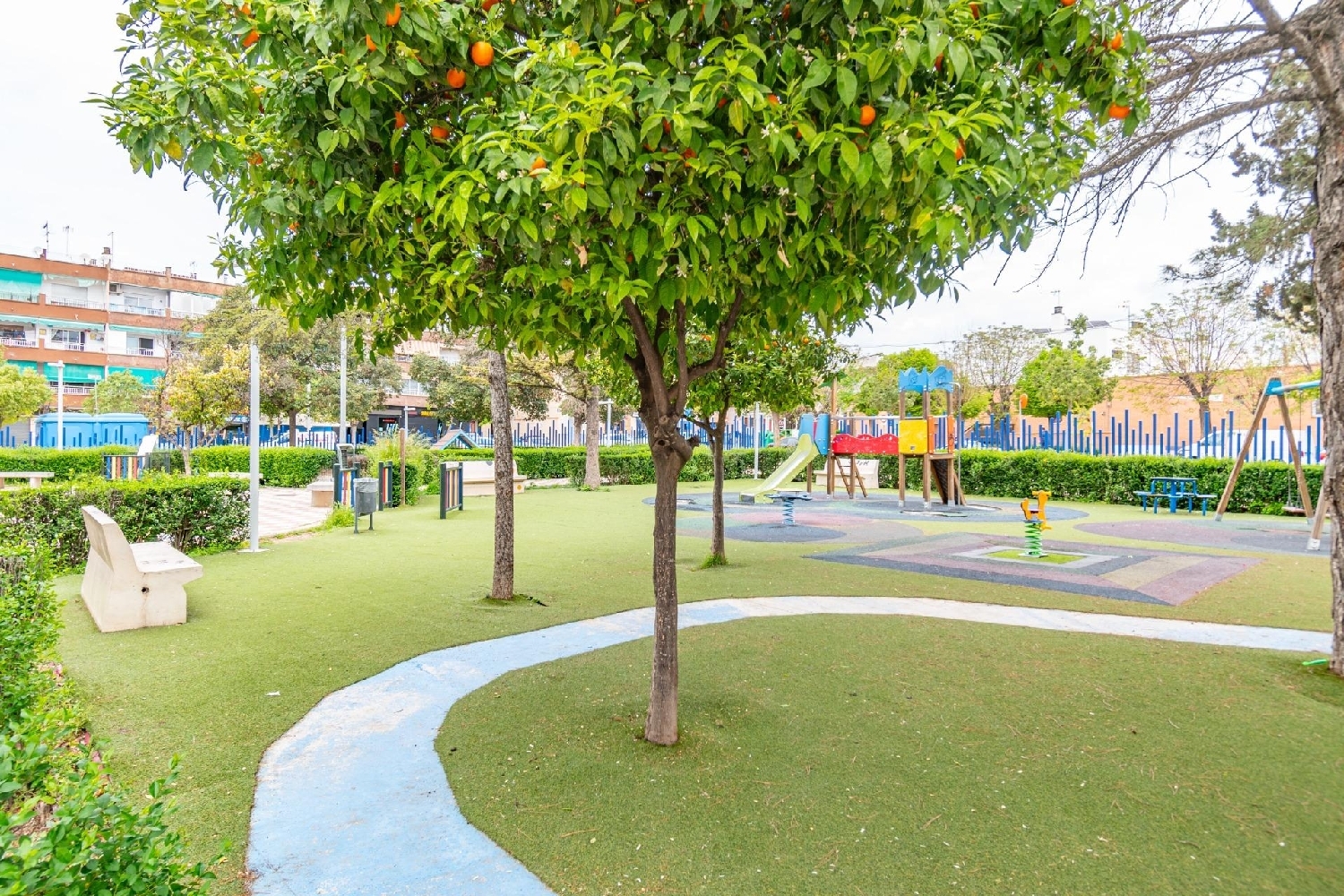  for sale shop Albolote Vega De Granada 3