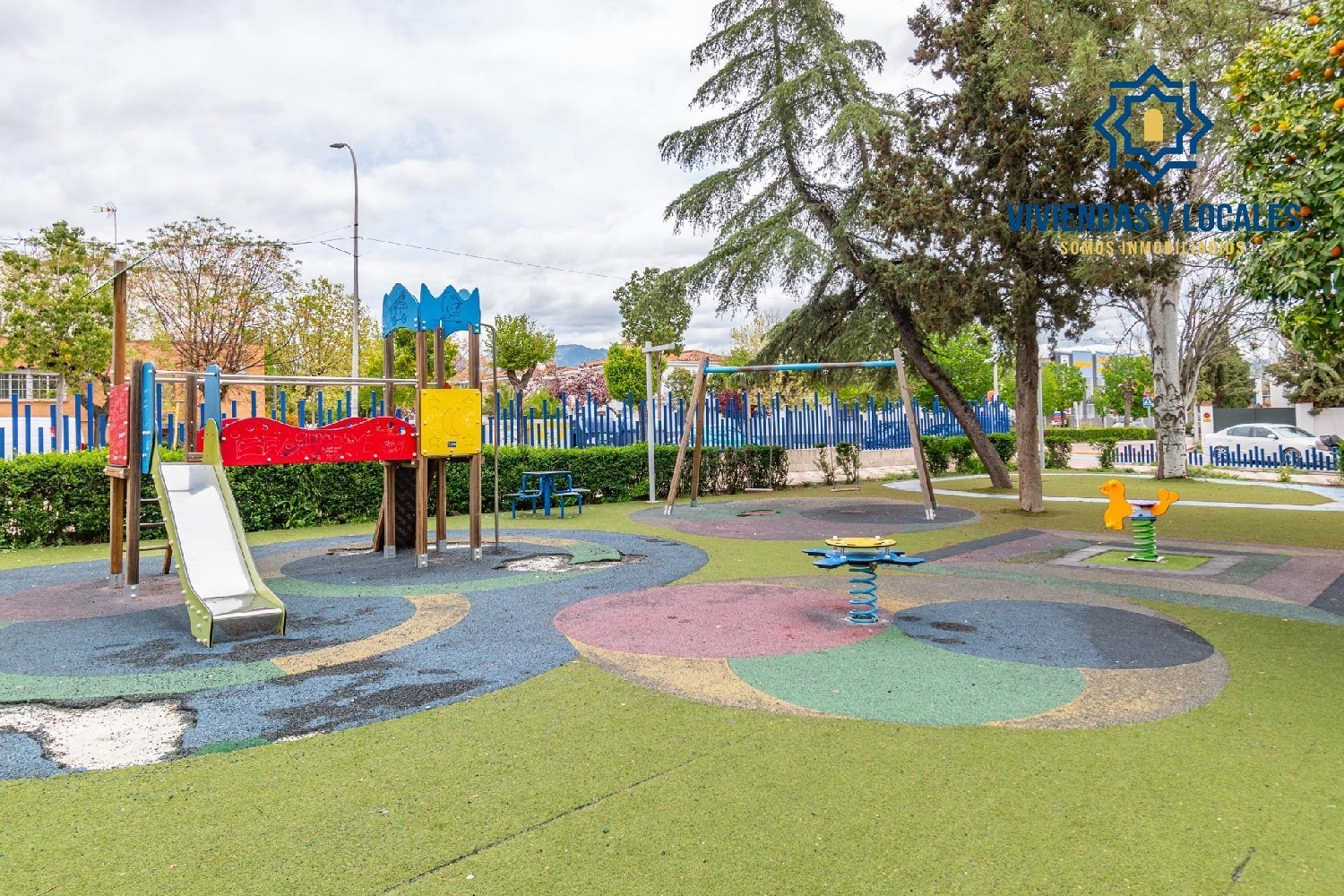  for sale shop Albolote Vega De Granada 4