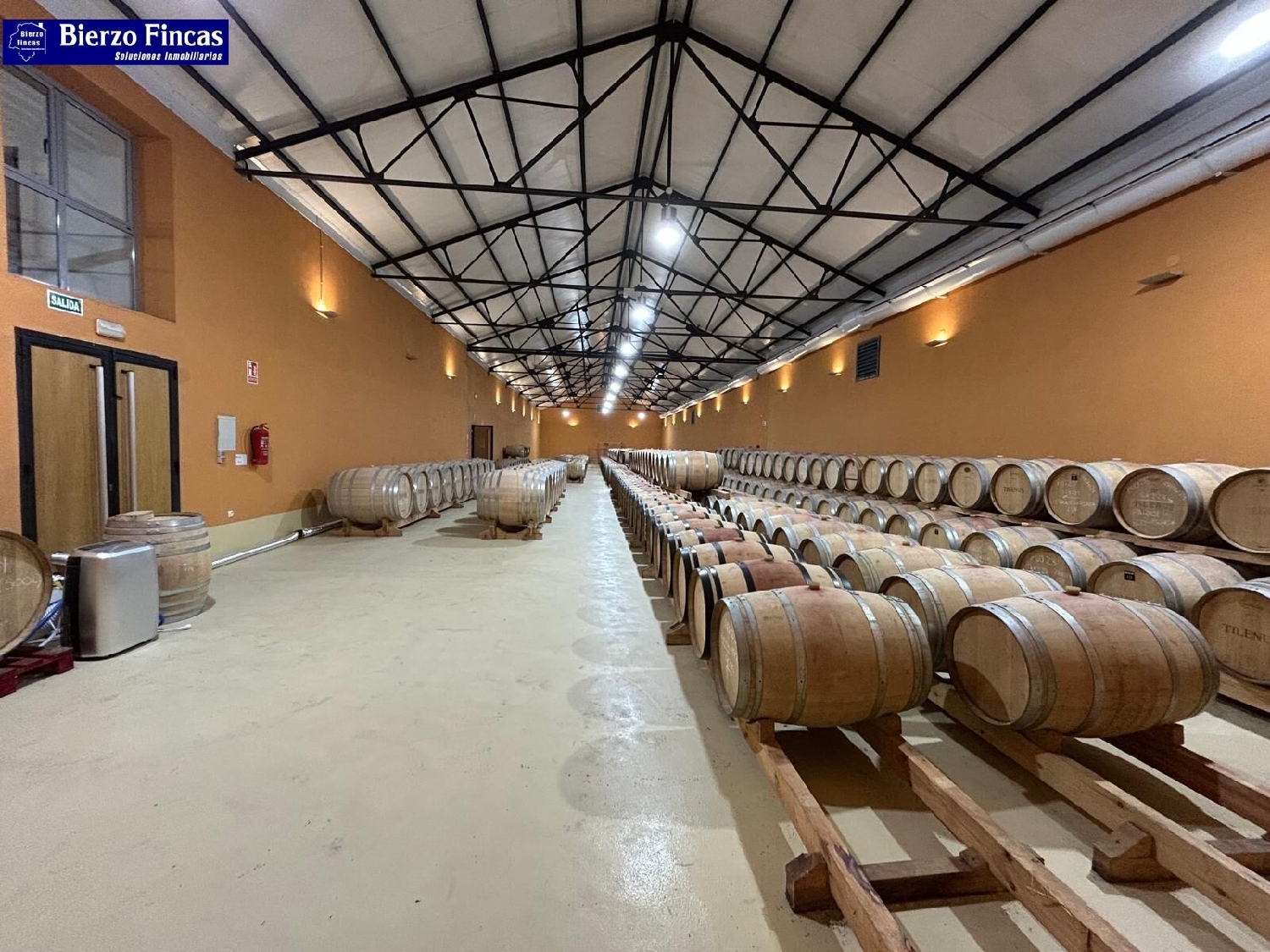  kaufen Laden Dehesas Bierzo (El) 5