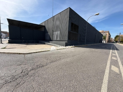 Novelda Vinalopó Mitjà shop foto 6376746