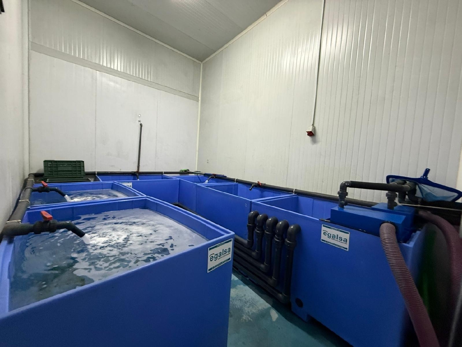  till salu butik Pilas Aljarafe 6