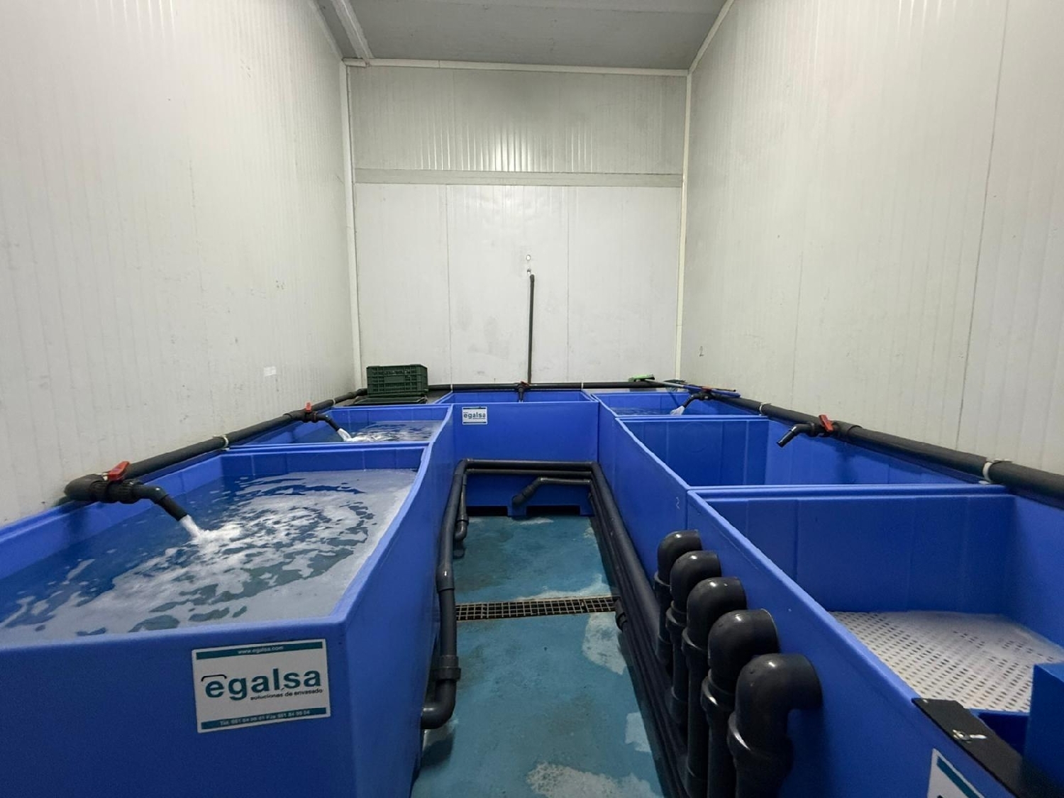  till salu butik Pilas Aljarafe 7