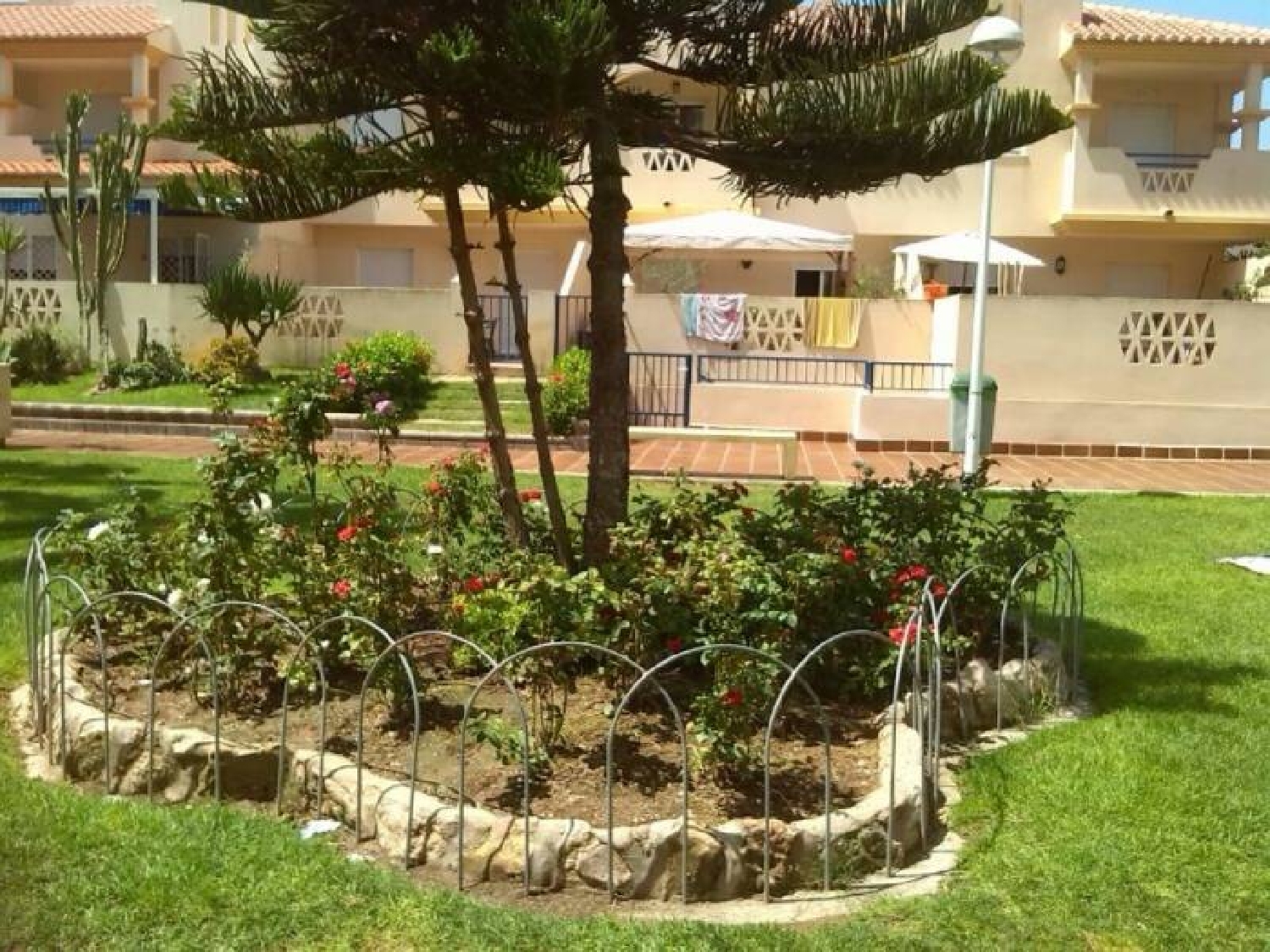  à vendre studio El Ejido Poniente Almeriense 7