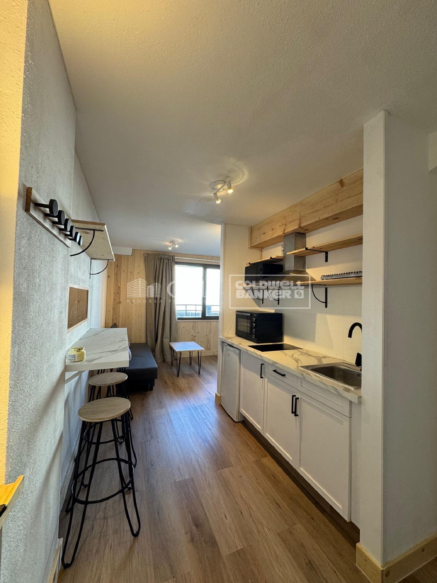 kaufen Einzimmerwohnung El Pas De La Casa Encamp 6