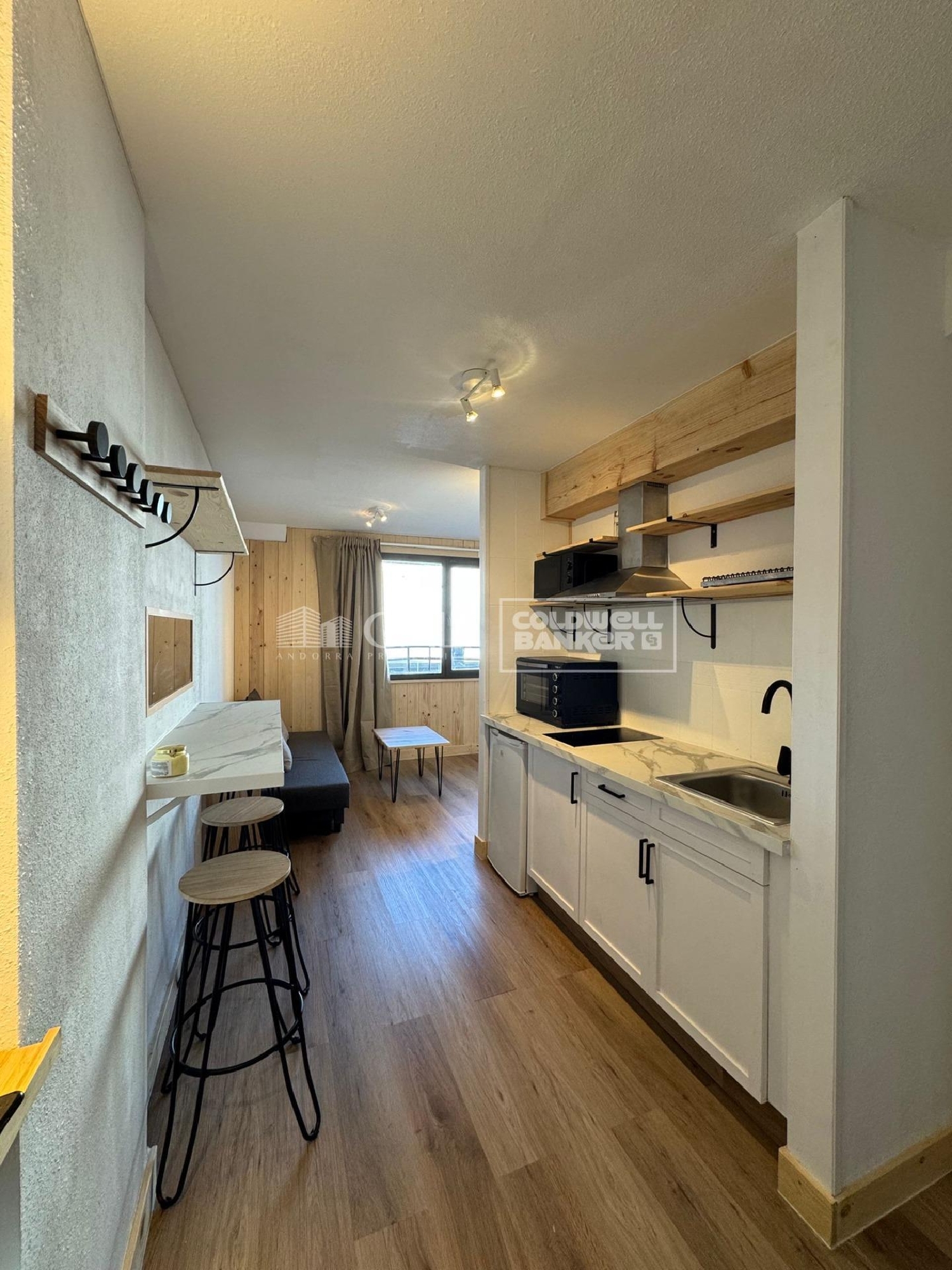 kaufen Einzimmerwohnung El Pas De La Casa Encamp 5