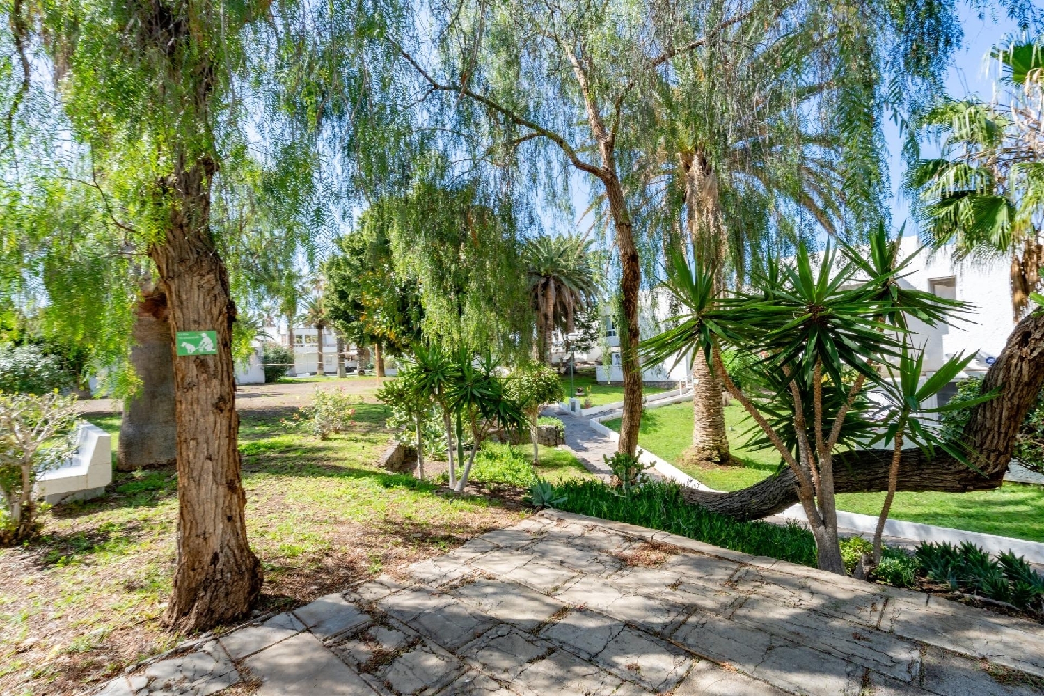  for sale studio apartment Maroñas Noya 5