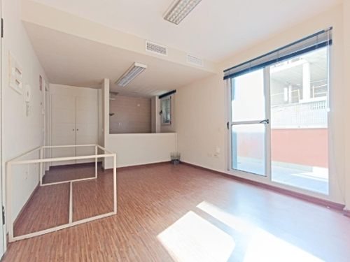 Palmeria Marina Alta studio foto 6370597