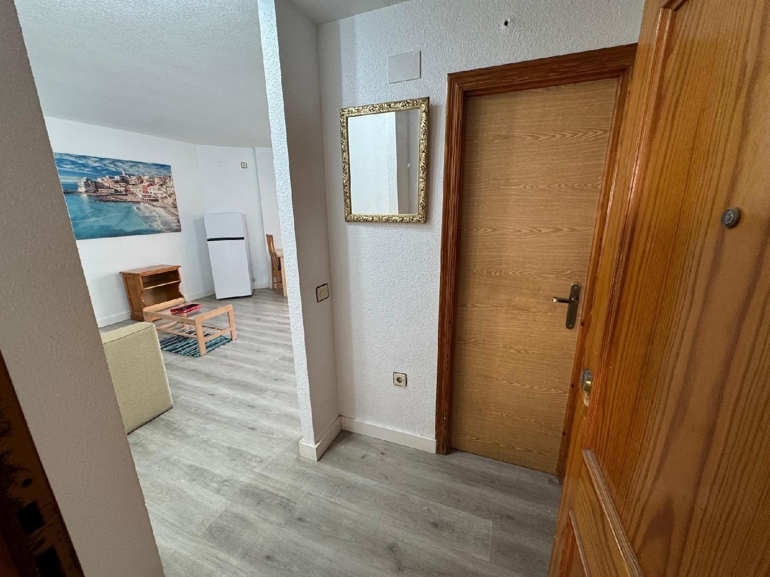  en venta estudio Torrevieja Baix Segura 4