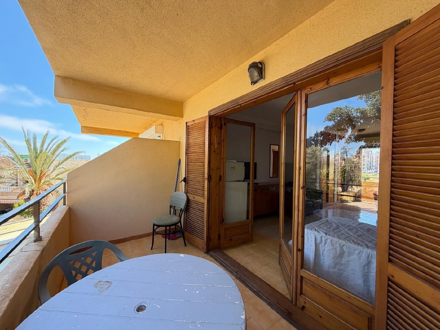  en venta estudio Torrevieja Baix Segura 1