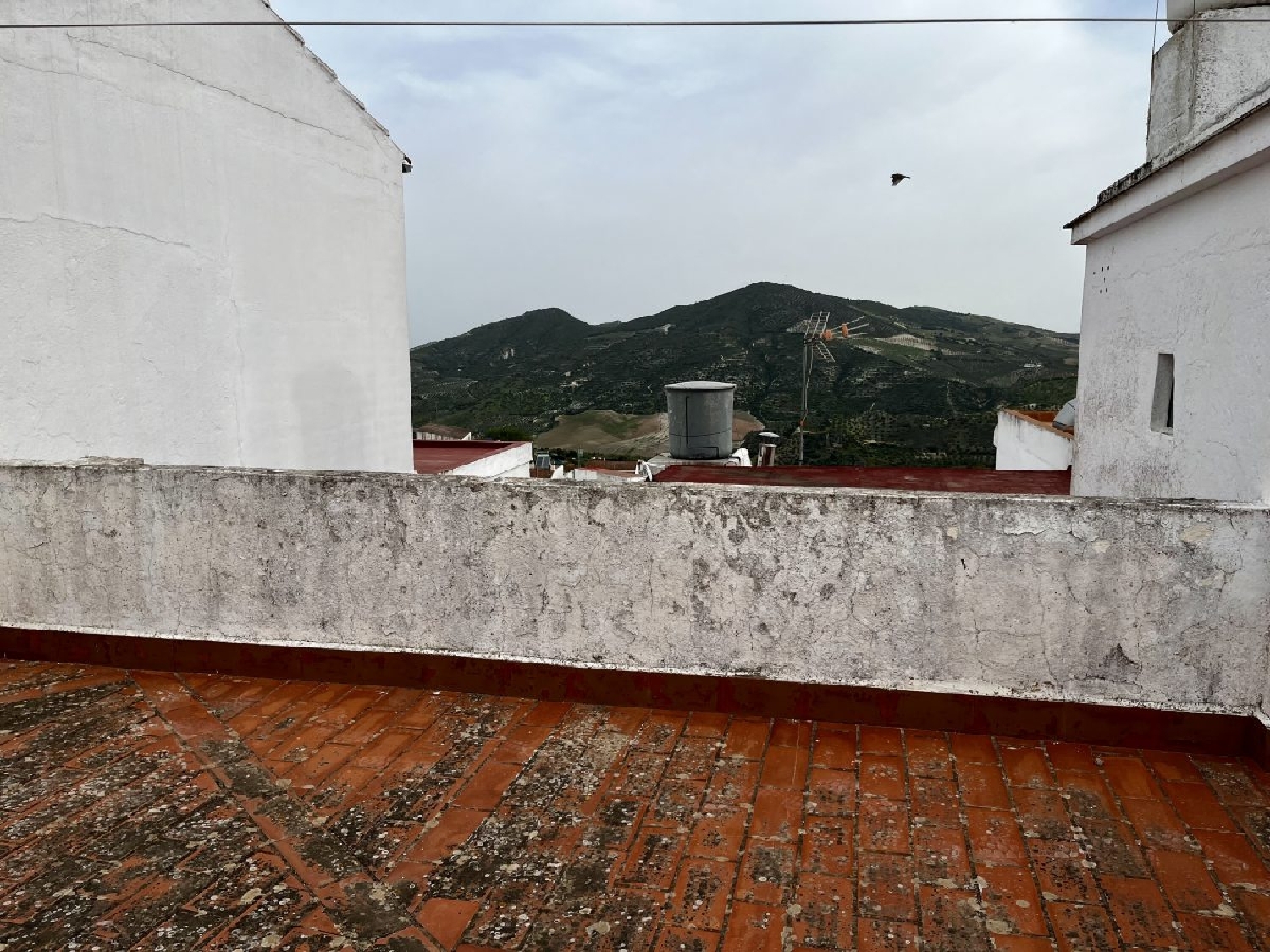  kaufen Reihenhaus Olvera Sierra De Cádiz 7