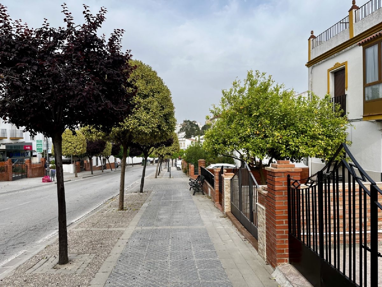  kaufen Reihenhaus Olvera Sierra De Cádiz 3