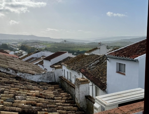 Olvera Sierra De Cádiz Reihenhaus Bild 6377486