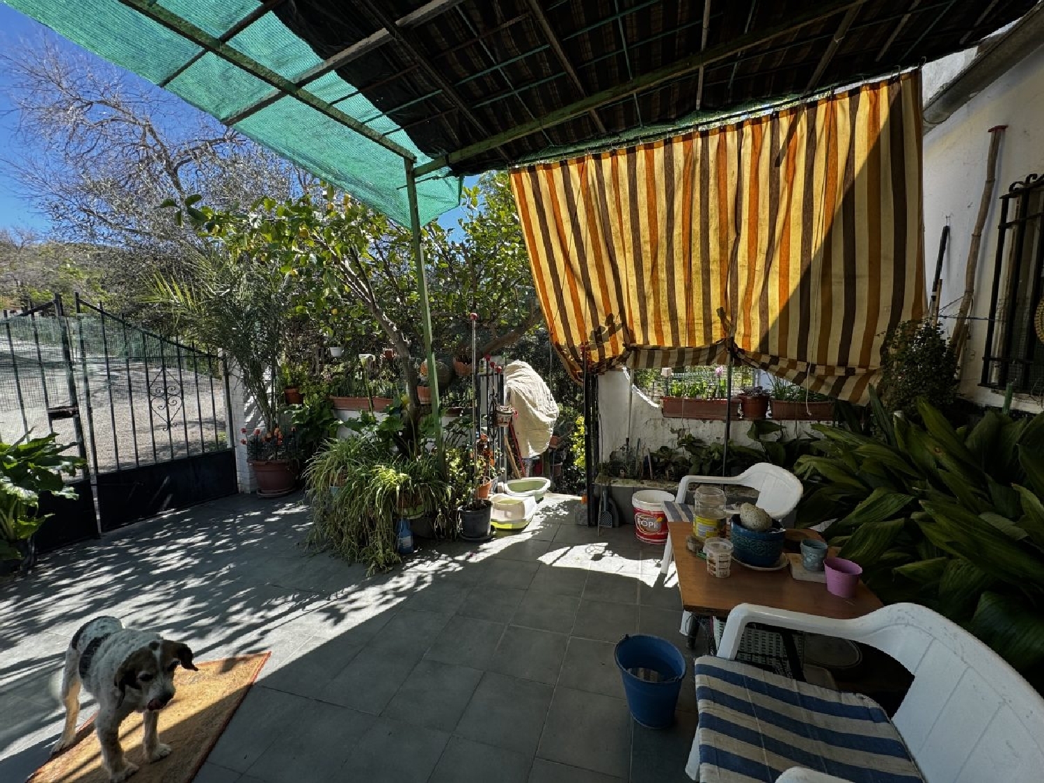  kaufen Reihenhaus Torre Alháquime Sierra De Cádiz 14