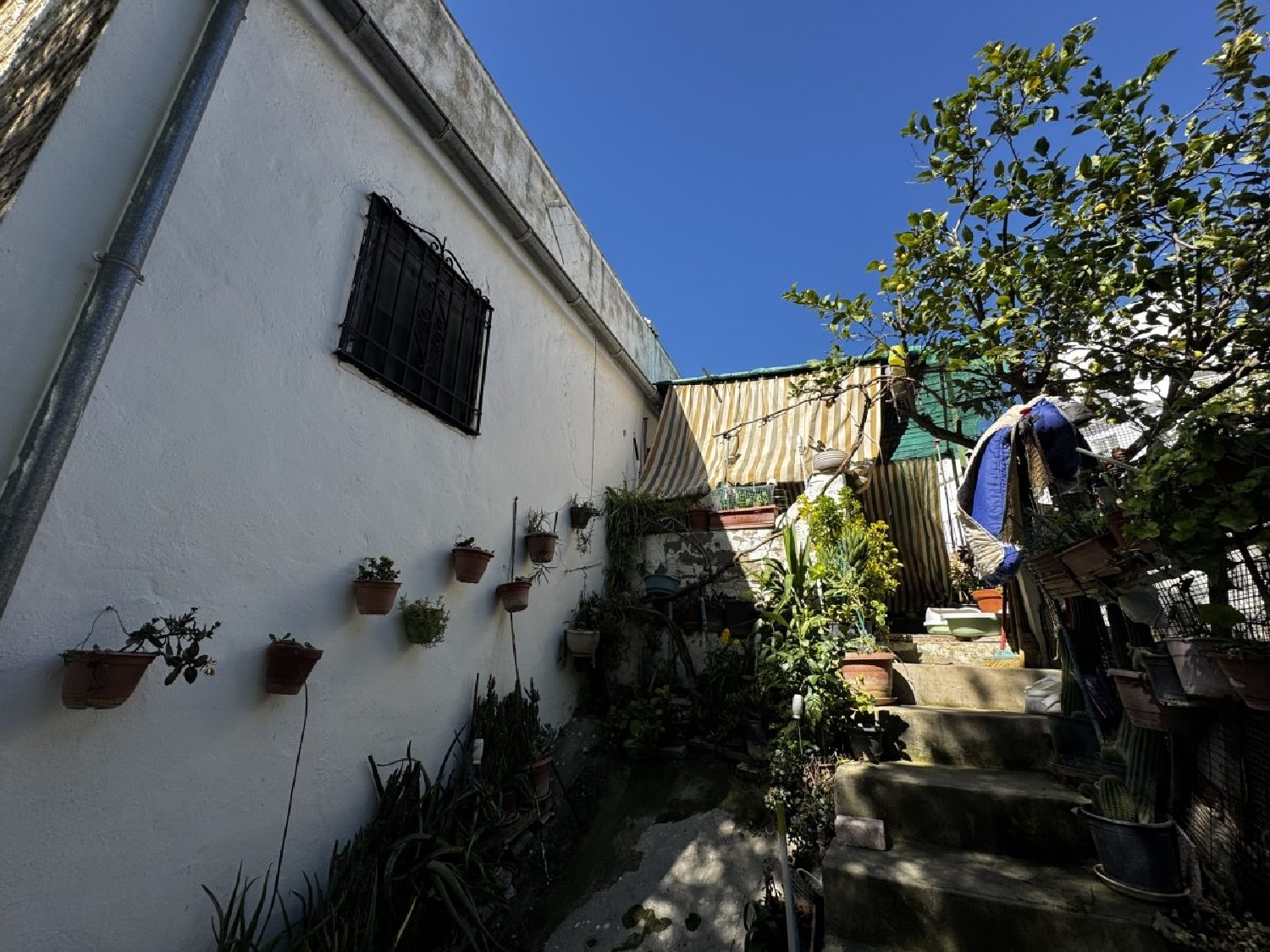  kaufen Reihenhaus Torre Alháquime Sierra De Cádiz 15