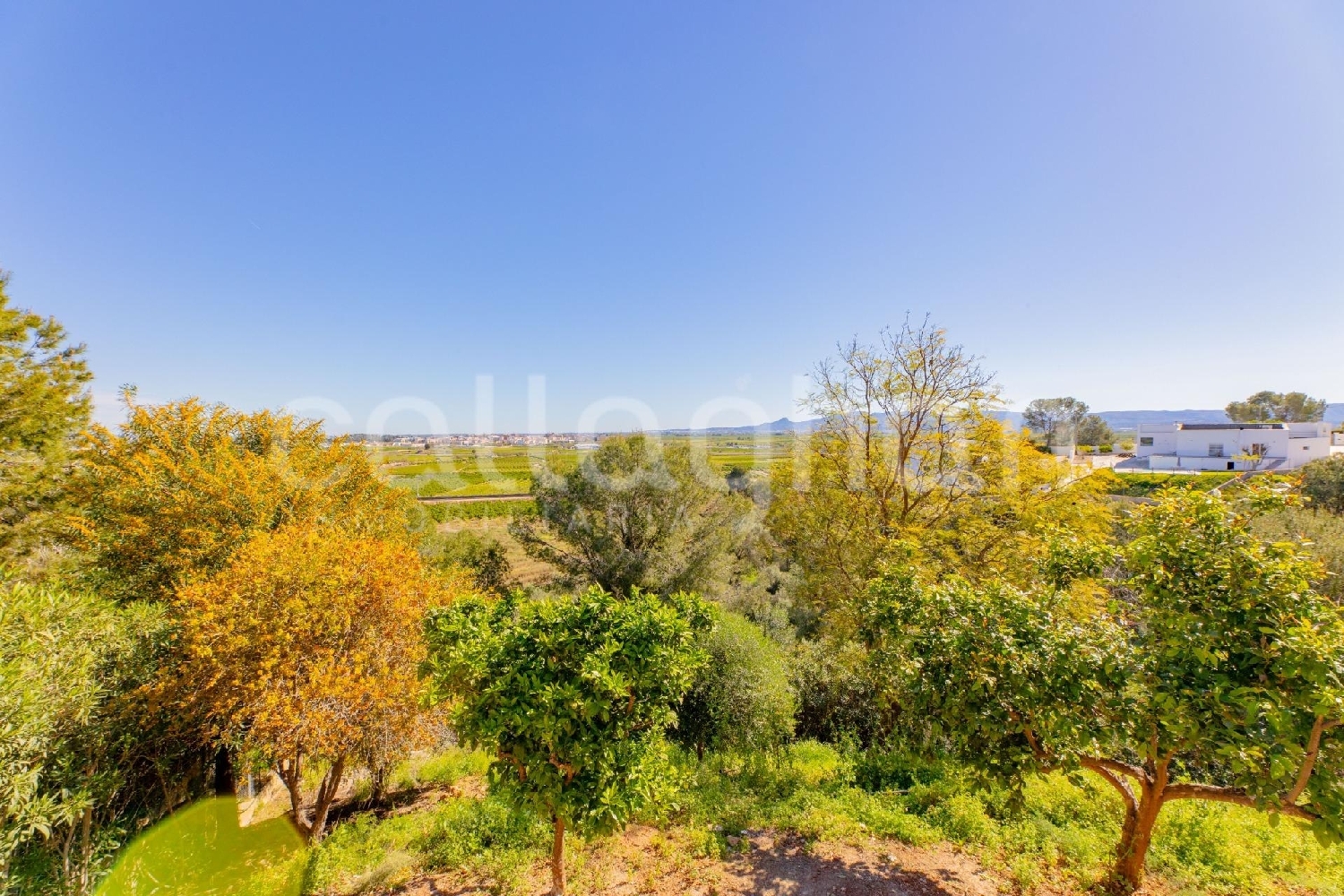  en venta chalet Alberic Ribera Alta 3