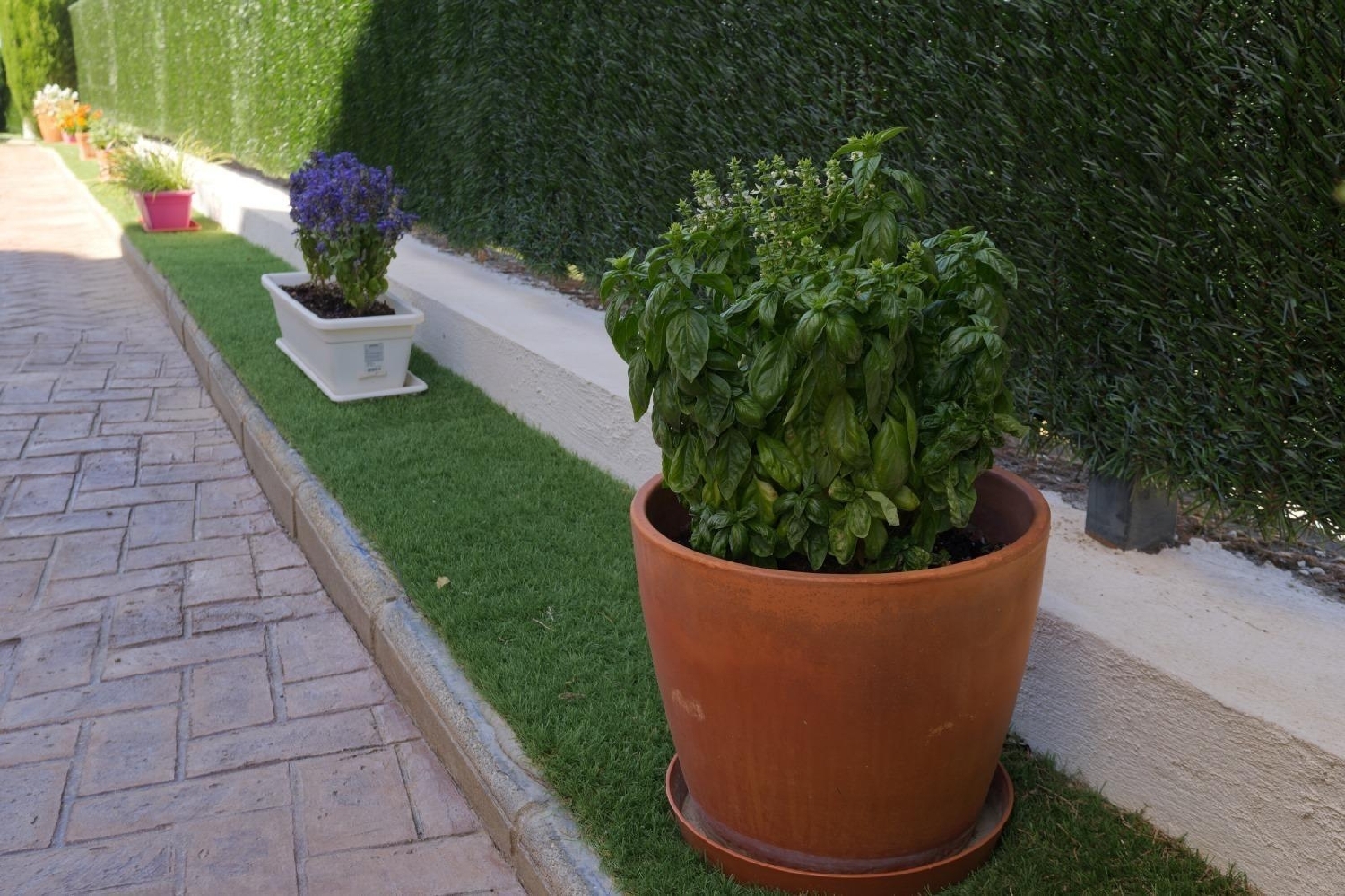  kaufen Villa Alfacar Vega De Granada 6