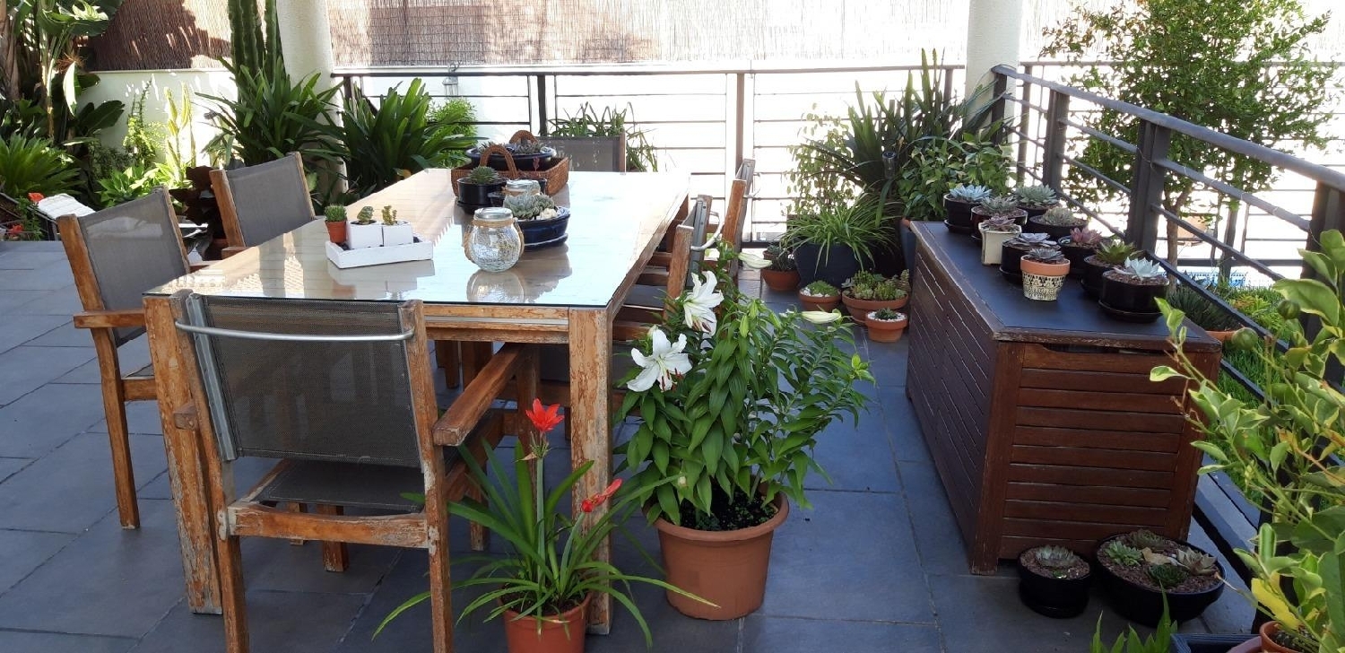  à vendre villa Algeciras Casco Antiguo Campo De Gibraltar 7