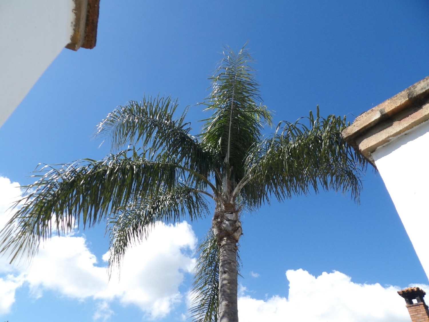  kaufen Villa Algeciras Casco Antiguo Campo De Gibraltar 7