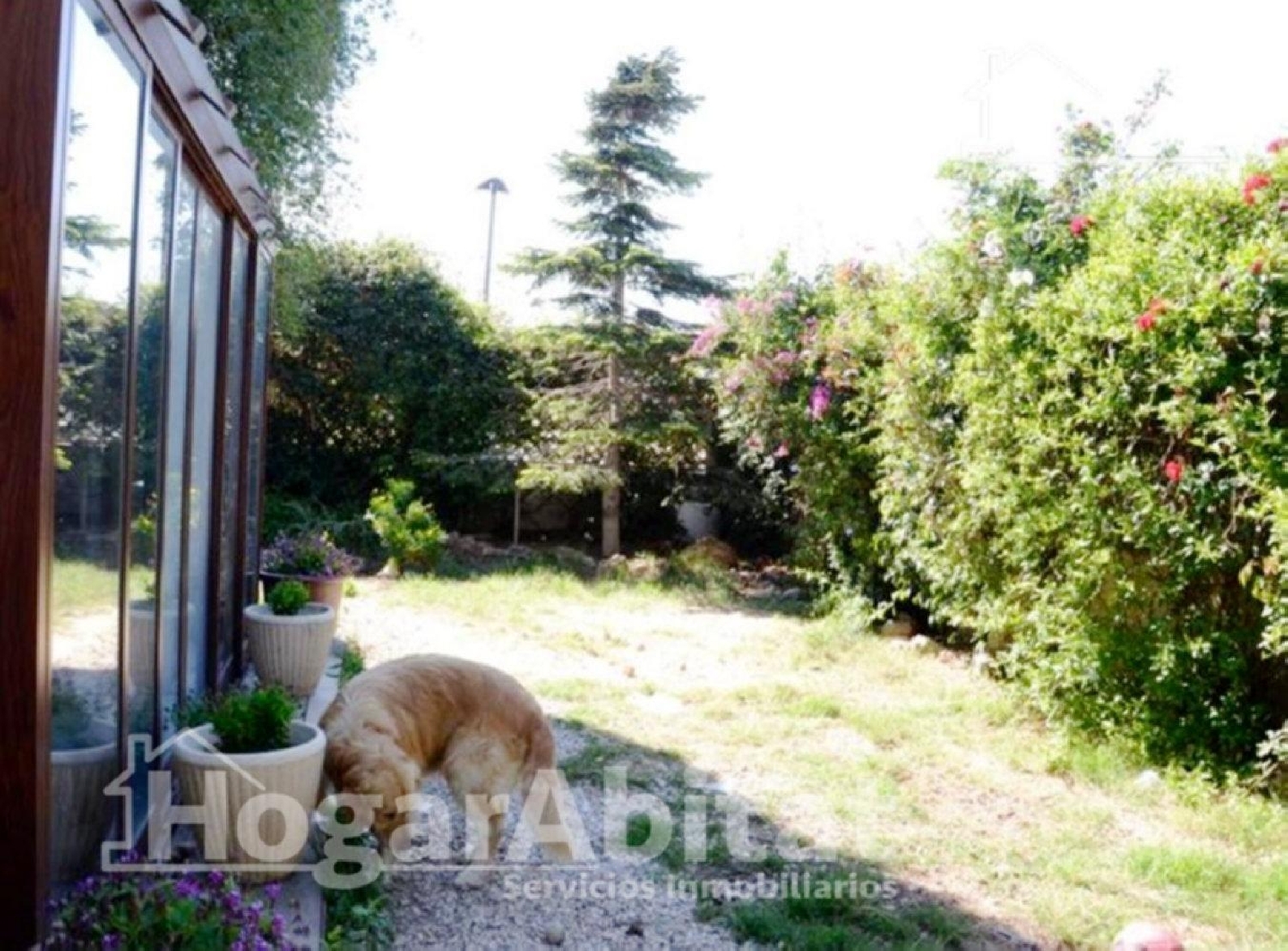  en venta chalet Algemesí Ribera Alta 8