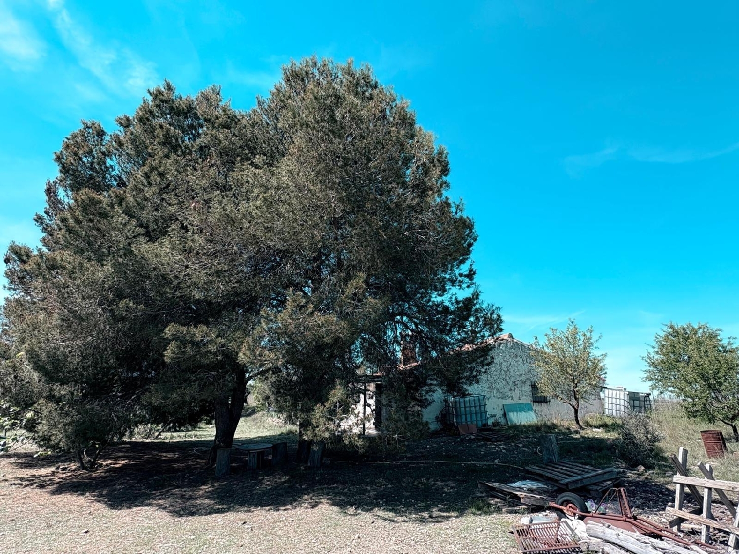  kaufen Villa Almansa Monte Ibérico Almansa 3