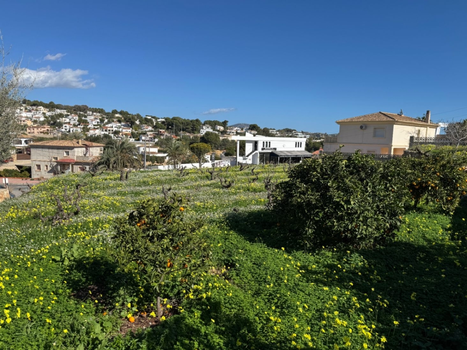  kaufen Villa Benissa Marina Alta 20