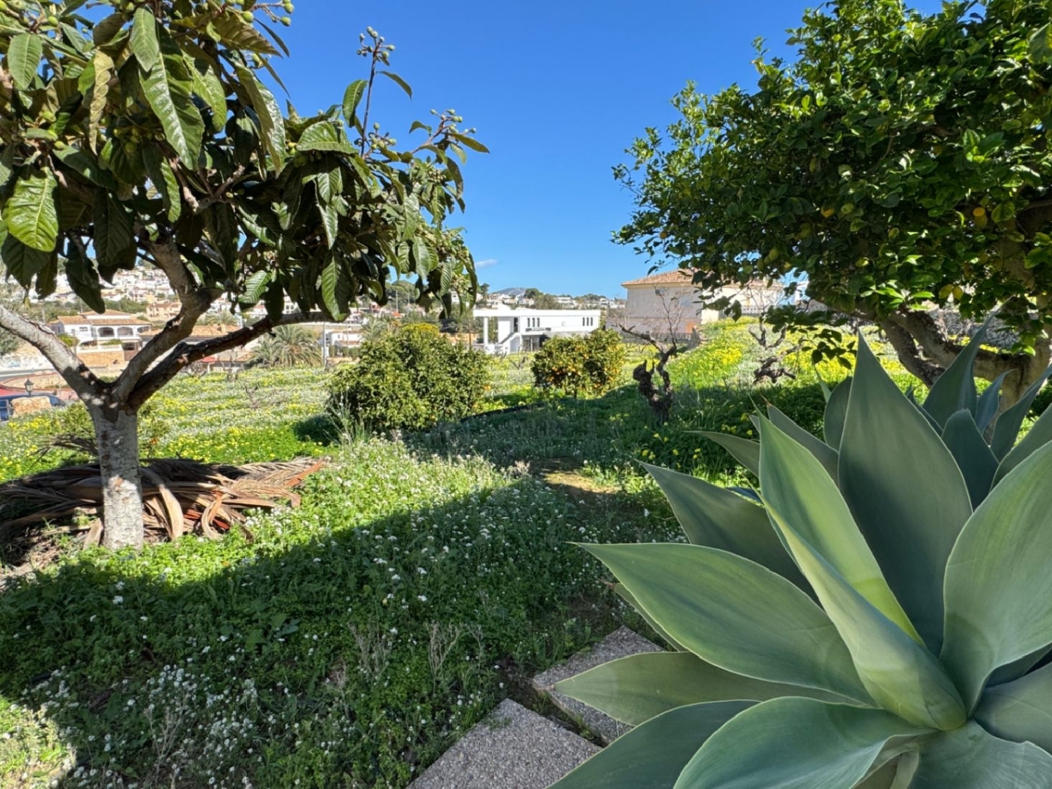  kaufen Villa Benissa Marina Alta 17