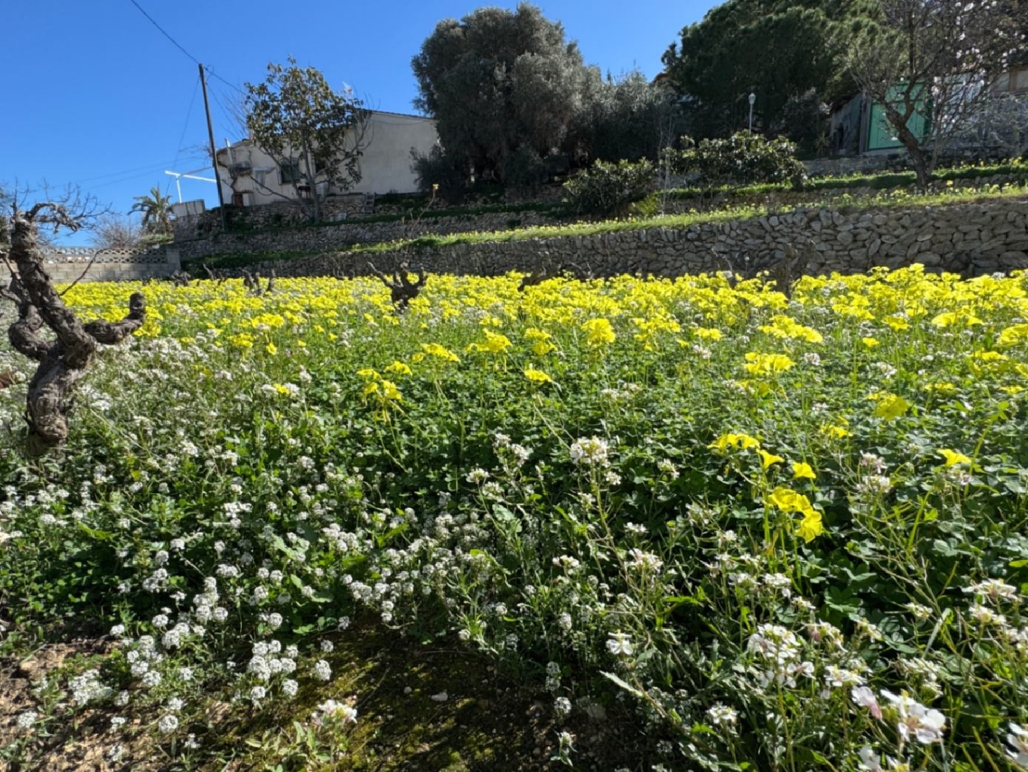  kaufen Villa Benissa Marina Alta 18