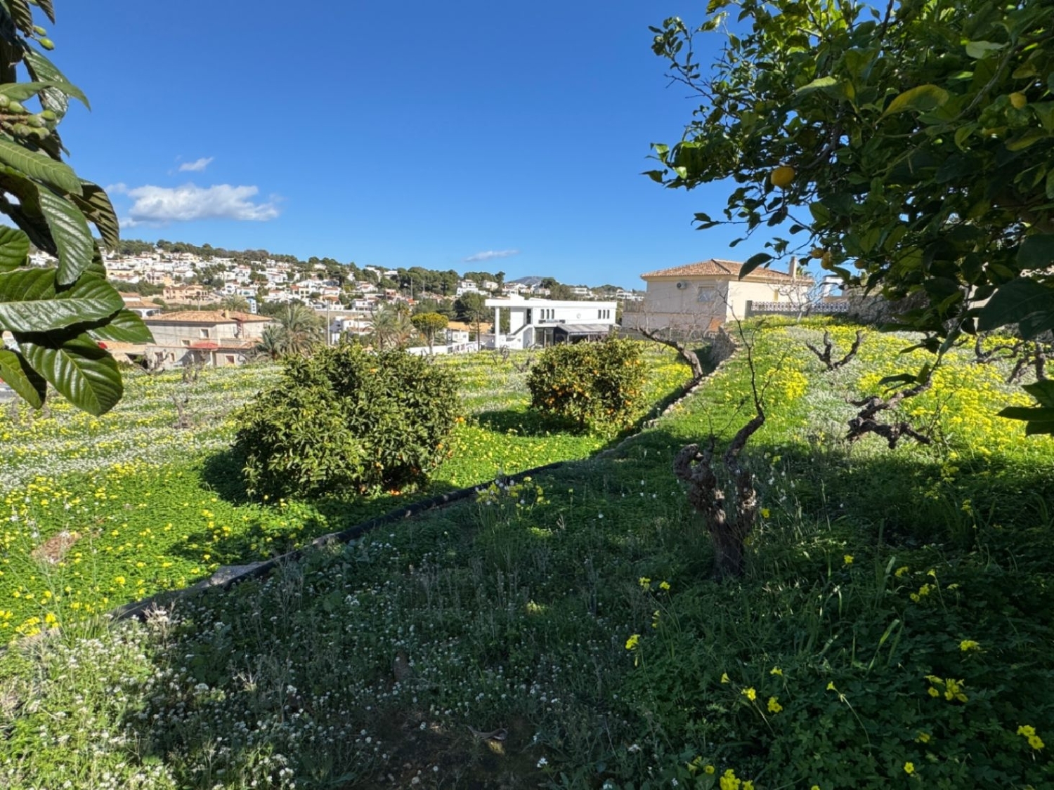  kaufen Villa Benissa Marina Alta 19