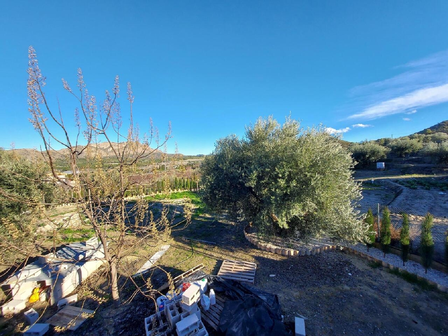  for sale villa Calasparra Noroeste 8