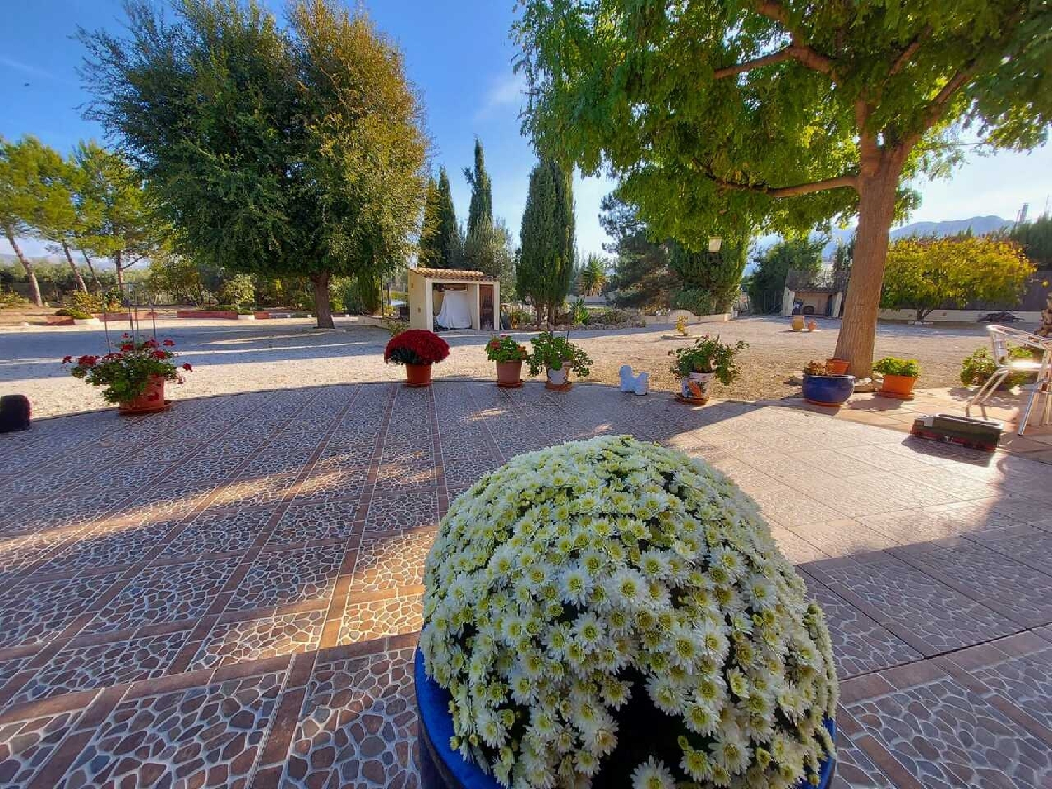  for sale villa Calasparra Noroeste 5