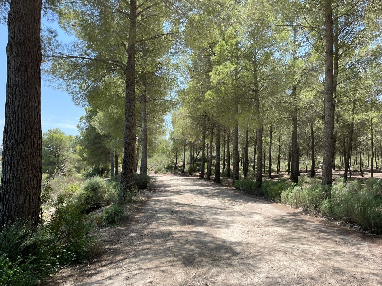  till salu villa Calasparra Noroeste 24