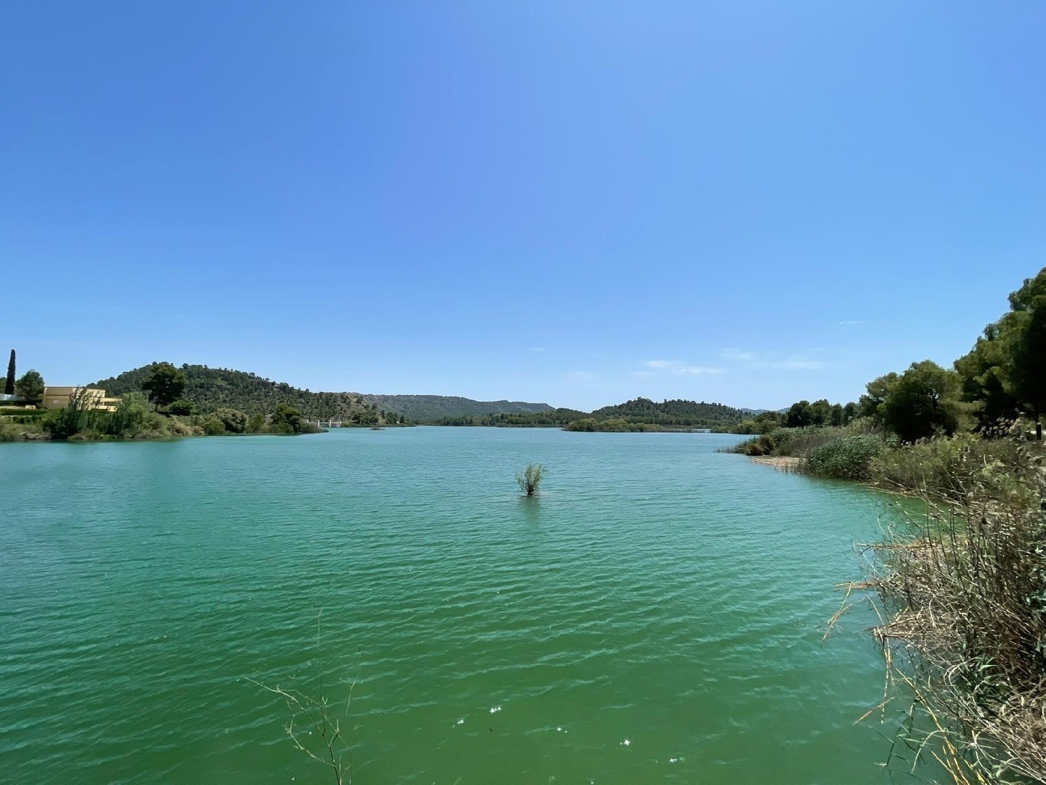  till salu villa Calasparra Noroeste 26